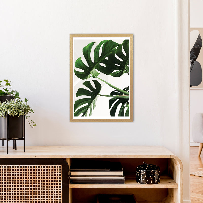 Monstera Leaf  Art Print by Pixy Paper A2 Print Only