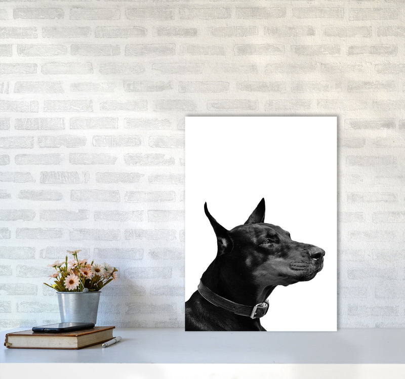 Black And White Dog Modern Print Animal Art Print A2 Black Frame