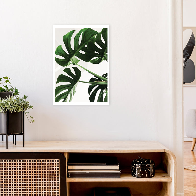 Monstera Leaf  Art Print by Pixy Paper A2 Black Frame
