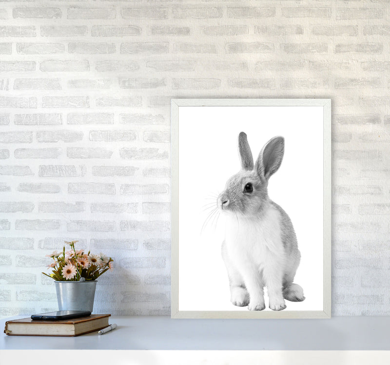 Black And White Bunny Modern Print Animal Art Print A2 Oak Frame