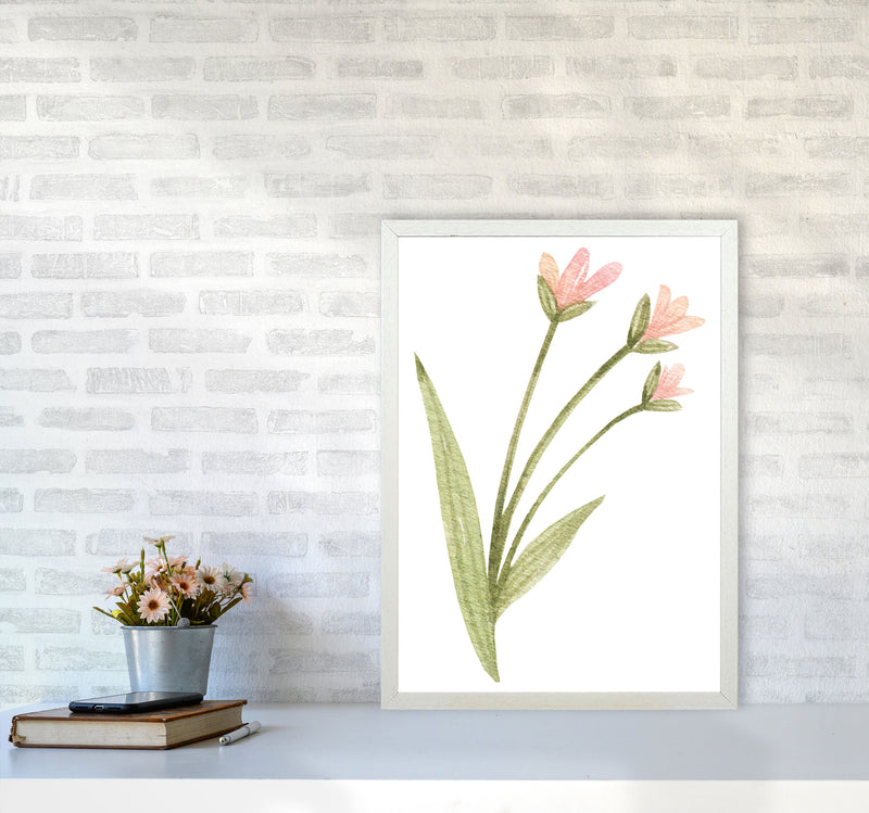 Pink Watercolour Flower 1 Modern Print A2 Oak Frame