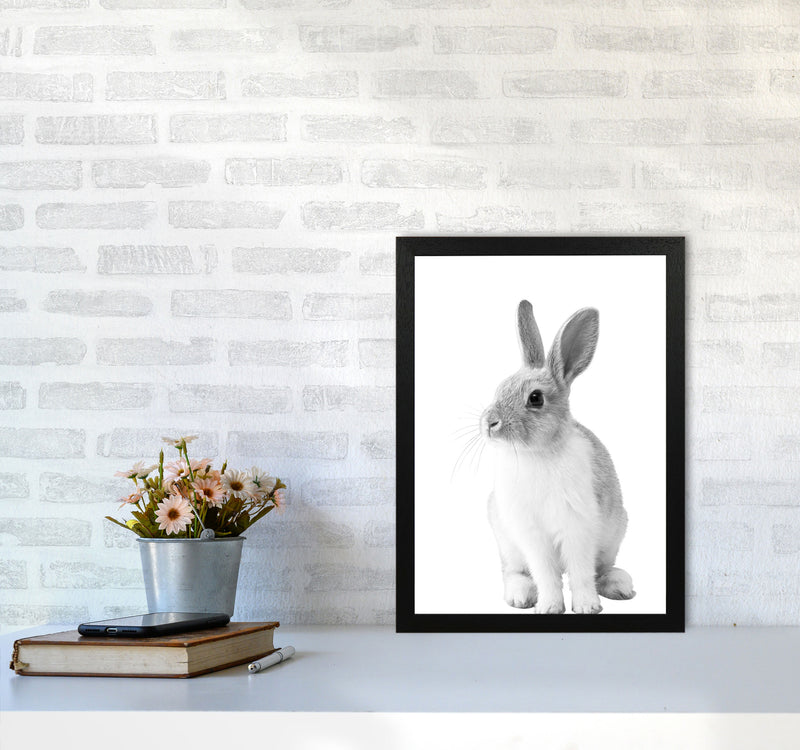 Black And White Bunny Modern Print Animal Art Print A3 White Frame