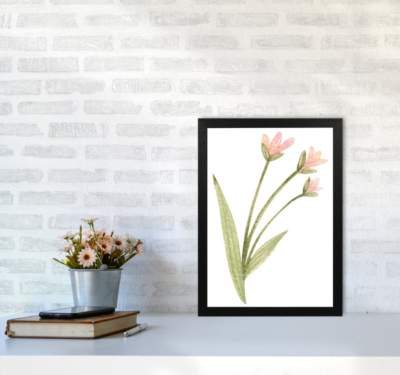 Pink Watercolour Flower 1 Modern Print A3 White Frame