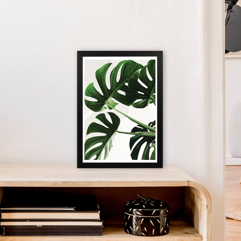 Monstera Leaf  Art Print by Pixy Paper A3 White Frame