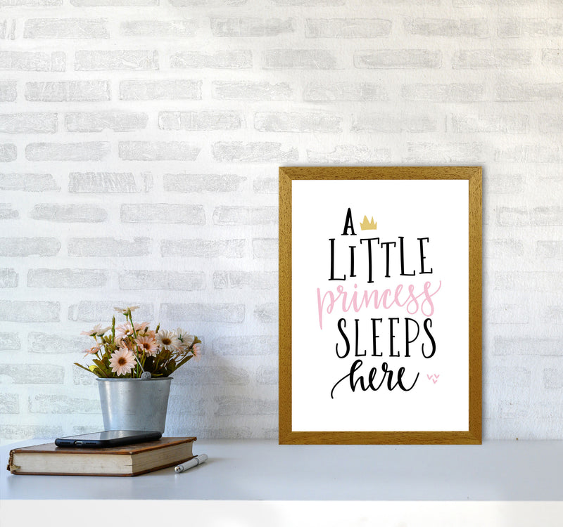 A Little Princess Sleeps Here Framed Nursey Wall Art Print A3 Print Only