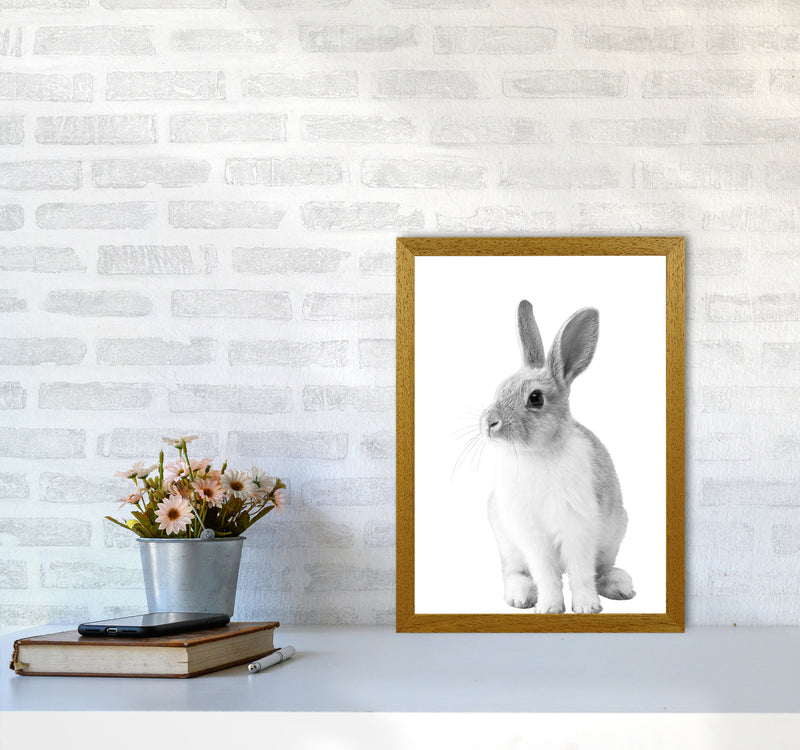 Black And White Bunny Modern Print Animal Art Print A3 Print Only