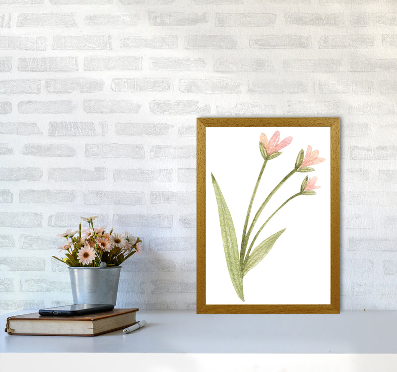 Pink Watercolour Flower 1 Modern Print A3 Print Only