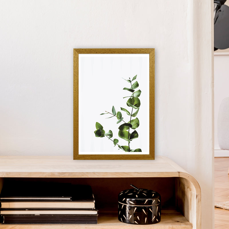 Elegant Green Plant  Art Print by Pixy Paper A3 Print Only