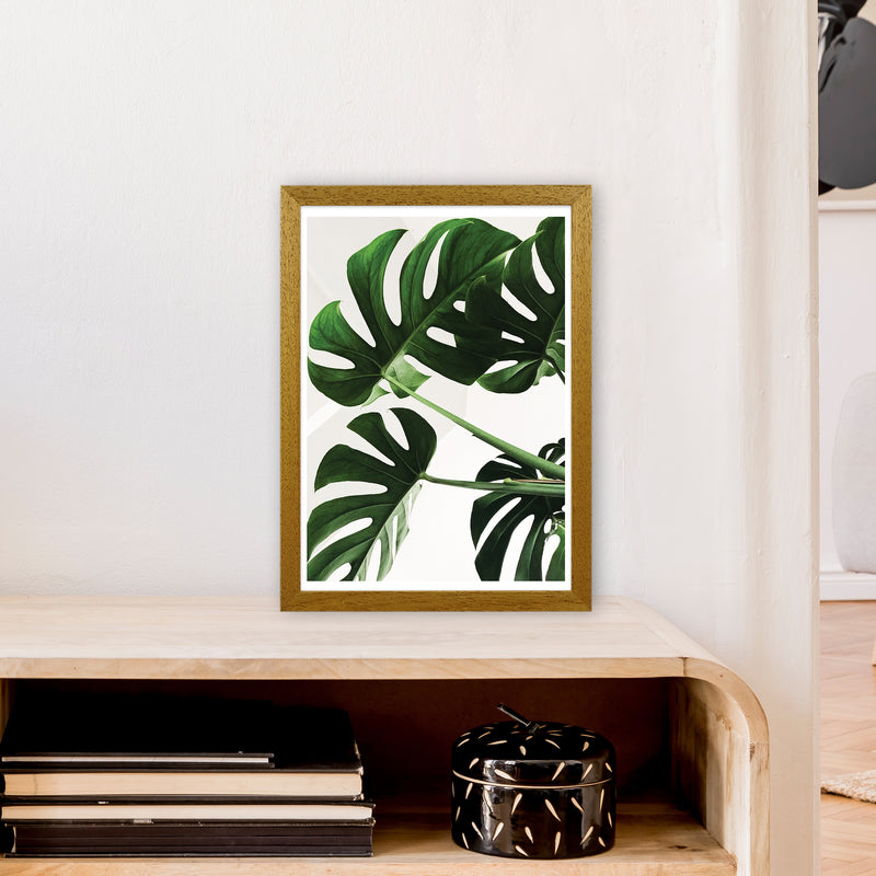 Monstera Leaf  Art Print by Pixy Paper A3 Print Only