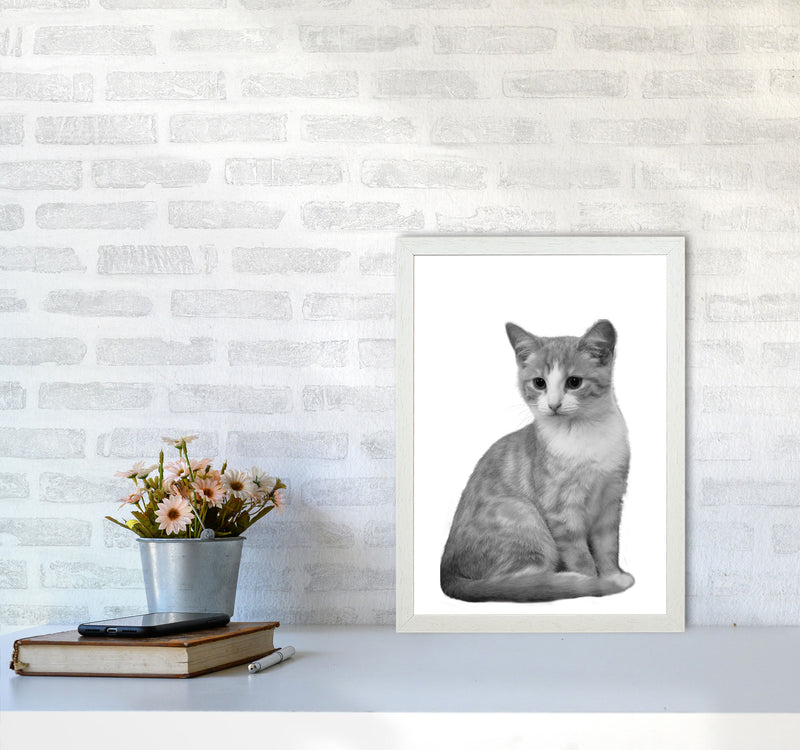 Black And White Cat Modern Print Animal Art Print A3 Oak Frame