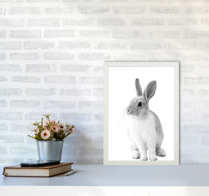 Black And White Bunny Modern Print Animal Art Print A3 Oak Frame