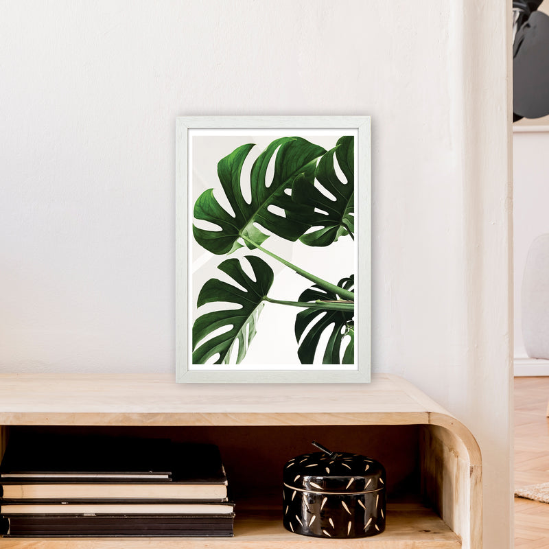Monstera Leaf  Art Print by Pixy Paper A3 Oak Frame