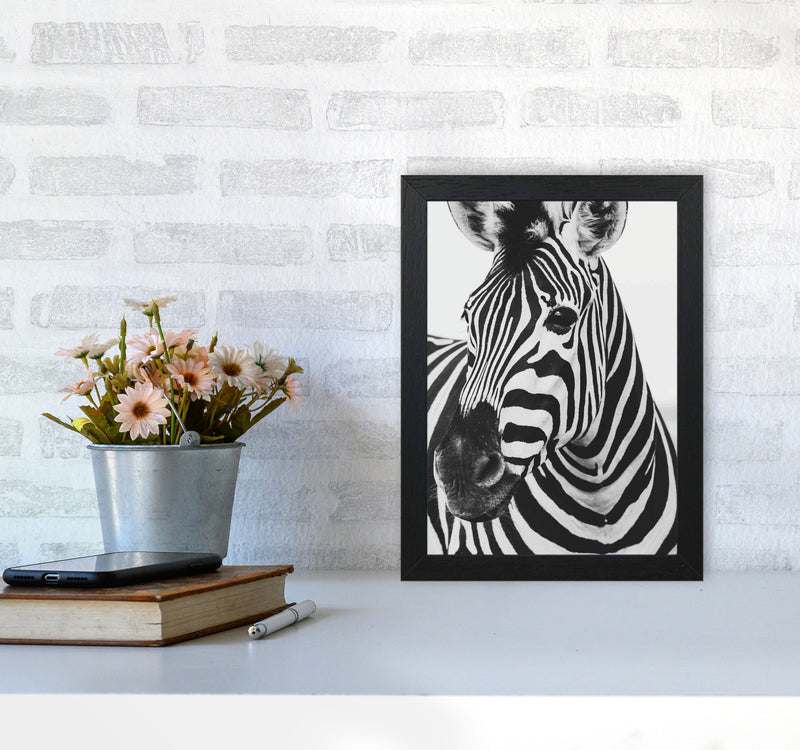 Black And White Zebra Modern Print Animal Art Print A4 White Frame