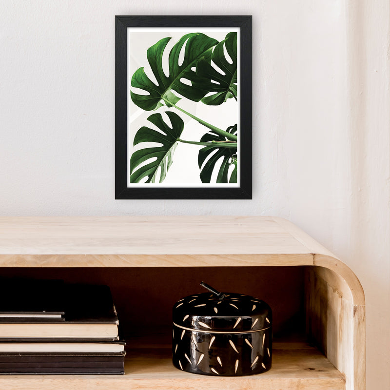 Monstera Leaf  Art Print by Pixy Paper A4 White Frame