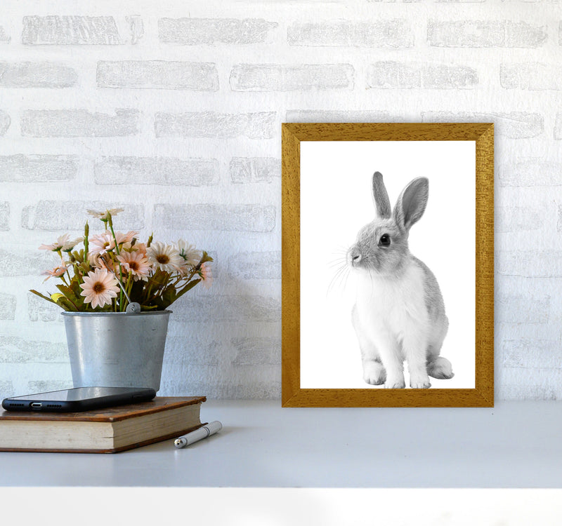 Black And White Bunny Modern Print Animal Art Print A4 Print Only