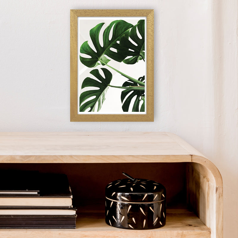 Monstera Leaf  Art Print by Pixy Paper A4 Print Only