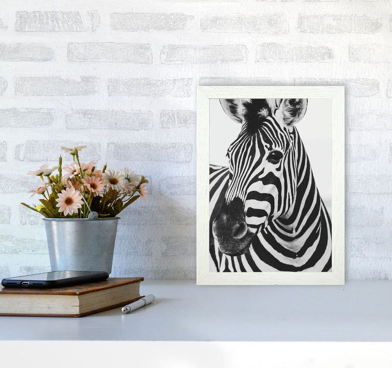 Black And White Zebra Modern Print Animal Art Print A4 Oak Frame