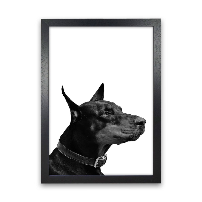 Black And White Dog Modern Print Animal Art Print Black Grain