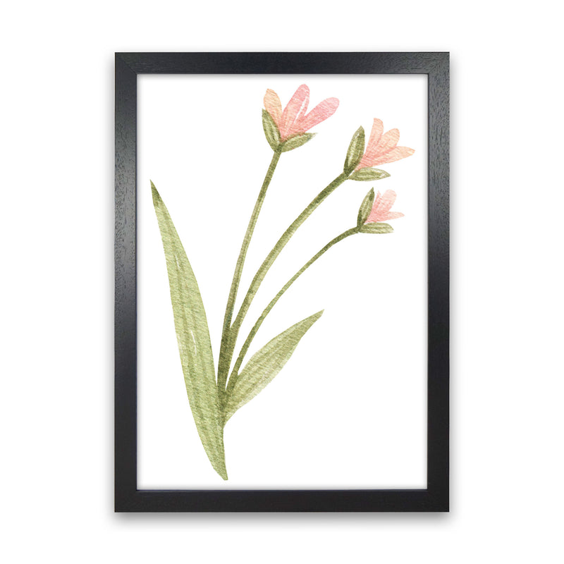Pink Watercolour Flower 1 Modern Print Black Grain