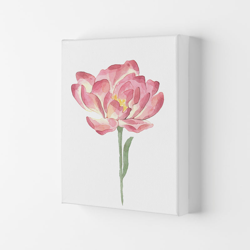 Pink Watercolour Flower Modern Print Canvas