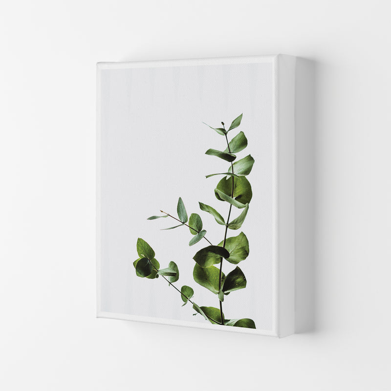Elegant Green Plant  Art Print by Pixy Paper Canvas
