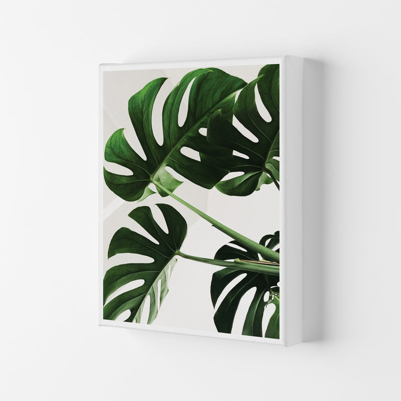 Monstera Leaf  Art Print by Pixy Paper Canvas
