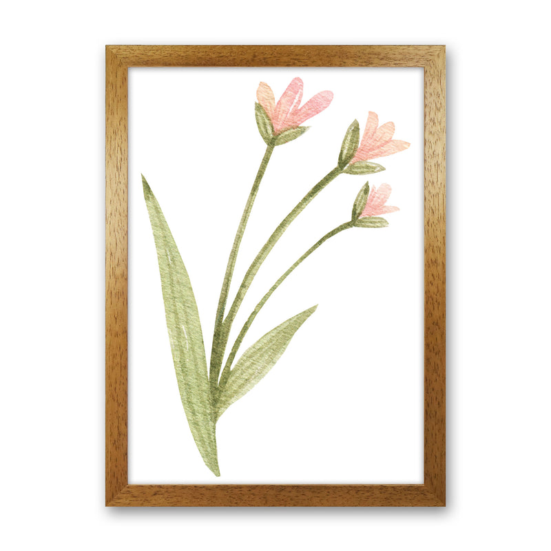 Pink Watercolour Flower 1 Modern Print Oak Grain