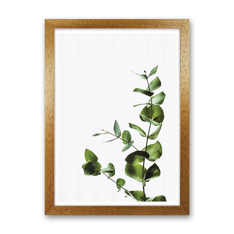 Elegant Green Plant  Art Print by Pixy Paper Oak Grain
