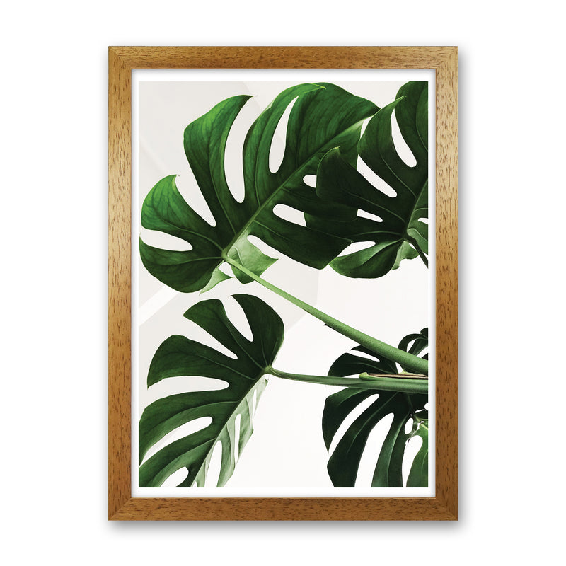 Monstera Leaf  Art Print by Pixy Paper Oak Grain