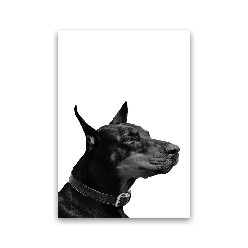 Black And White Dog Modern Print Animal Art Print Print Only