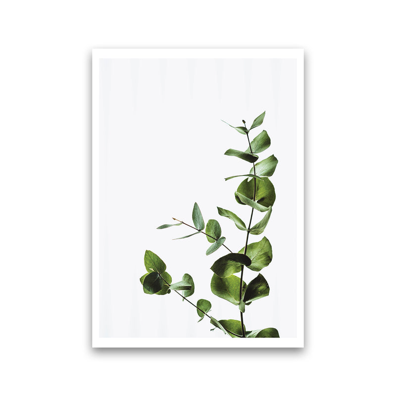 Elegant Green Plant  Art Print by Pixy Paper Print Only