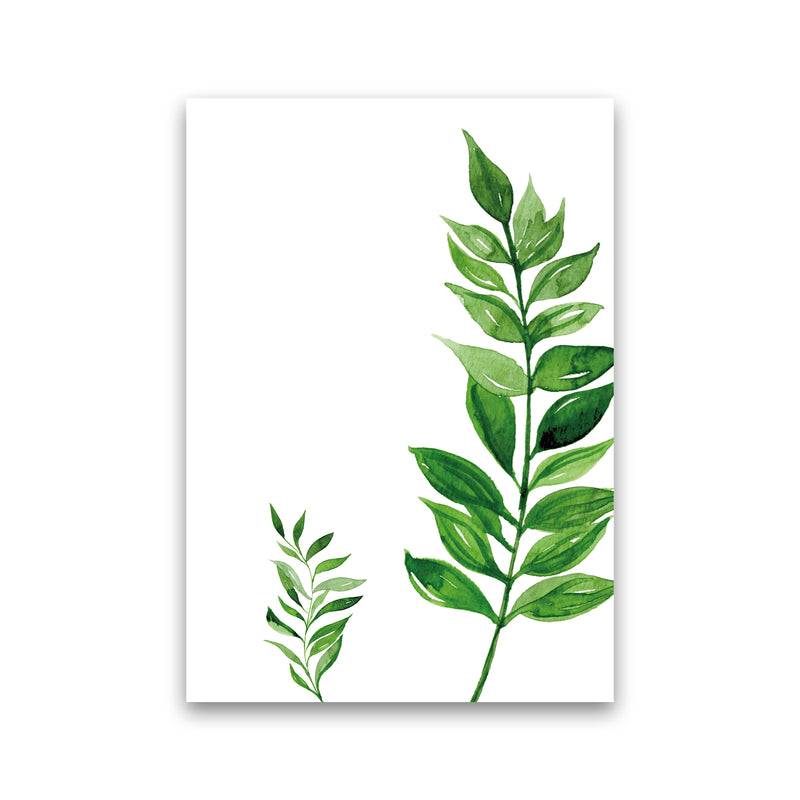 Side Leaf Exotic  Art Print by Pixy Paper Print Only