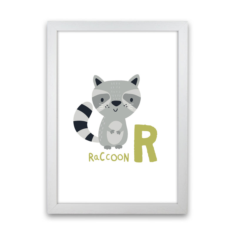Alphabet Animals, R Is For Raccoon Framed Nursey Wall Art Print White Grain