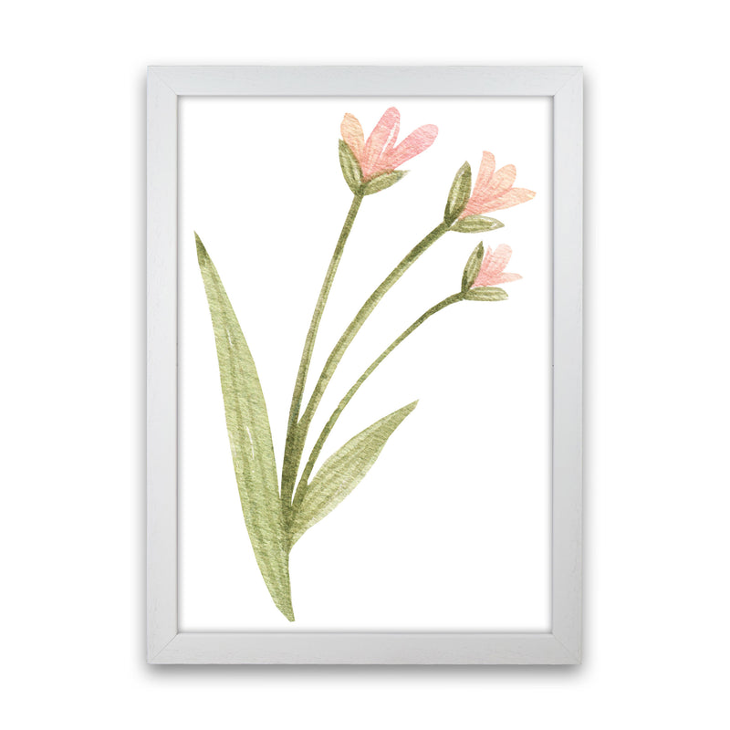 Pink Watercolour Flower 1 Modern Print White Grain