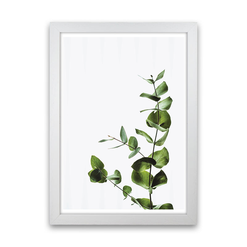 Elegant Green Plant  Art Print by Pixy Paper White Grain