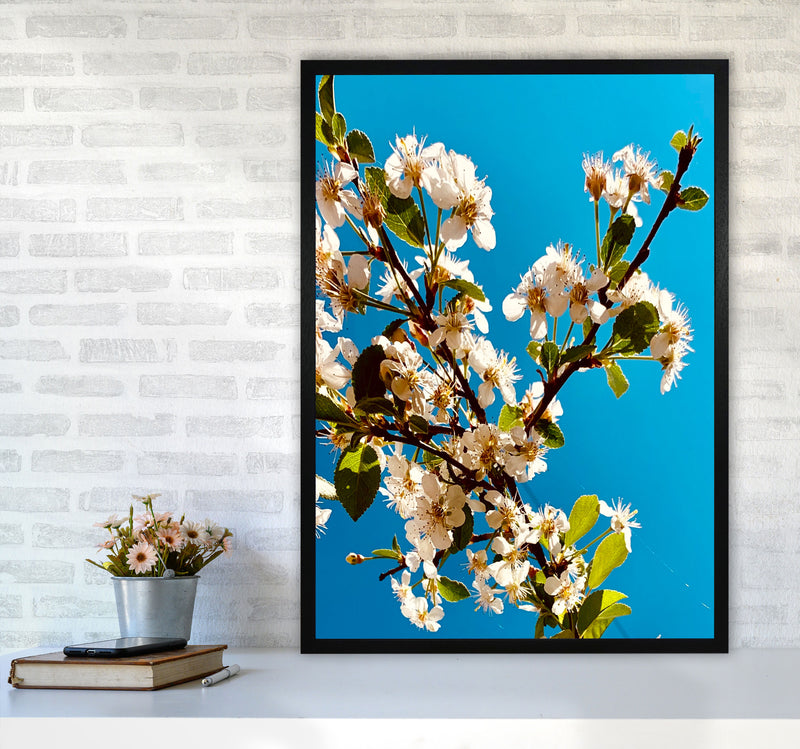 Under Cherry Blossom Art Print by Proper Job Studio A1 White Frame