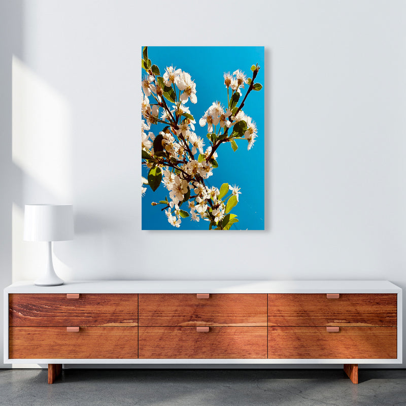 Under Cherry Blossom Art Print by Proper Job Studio A1 Canvas