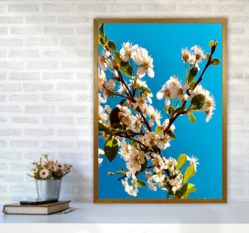 Under Cherry Blossom Art Print by Proper Job Studio A1 Print Only