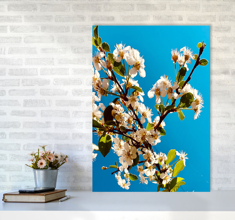 Under Cherry Blossom Art Print by Proper Job Studio A1 Black Frame