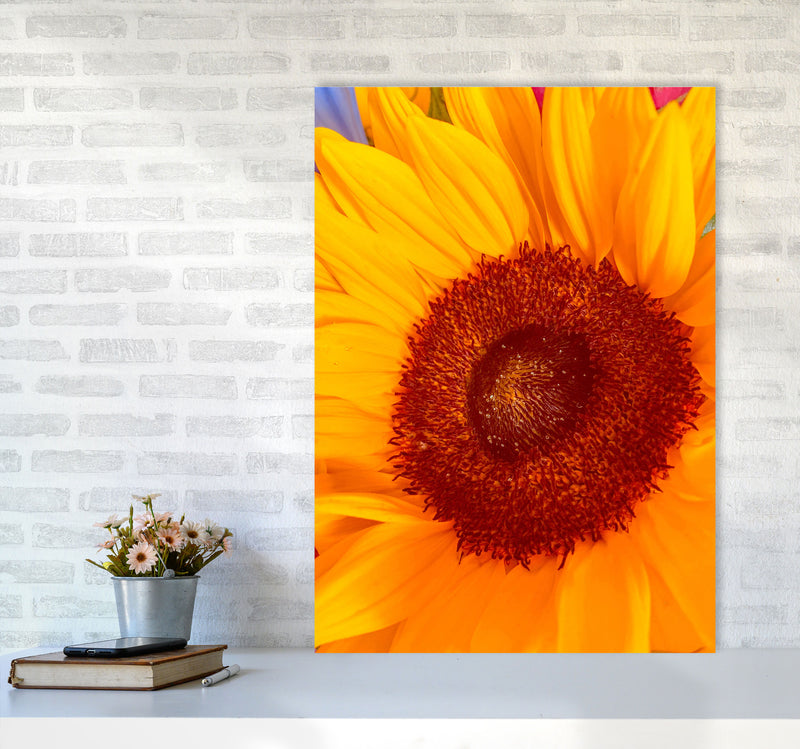 Sunflower Art Print by Proper Job Studio A1 Black Frame