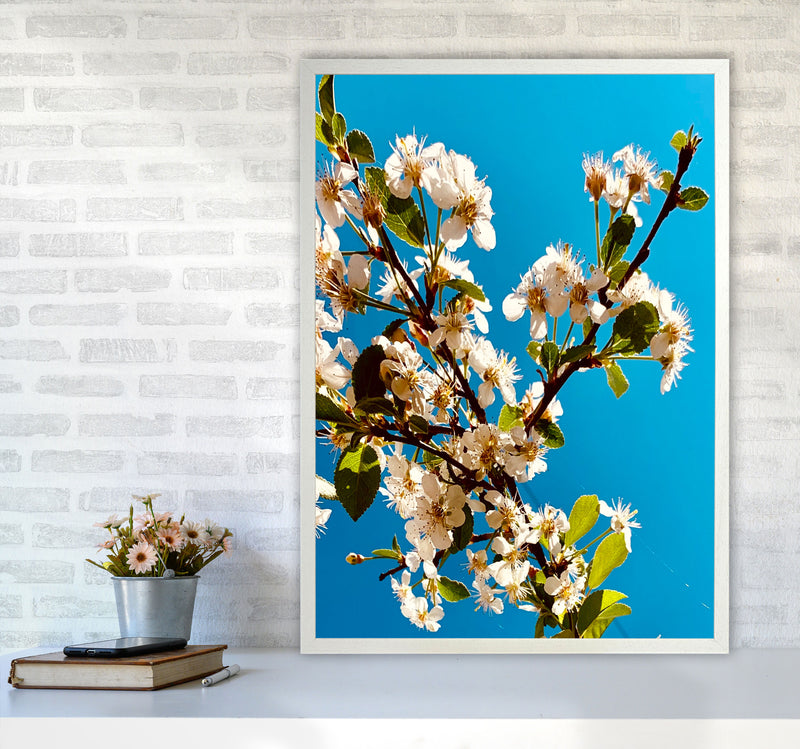 Under Cherry Blossom Art Print by Proper Job Studio A1 Oak Frame