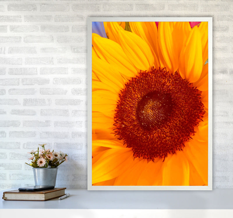 Sunflower Art Print by Proper Job Studio A1 Oak Frame