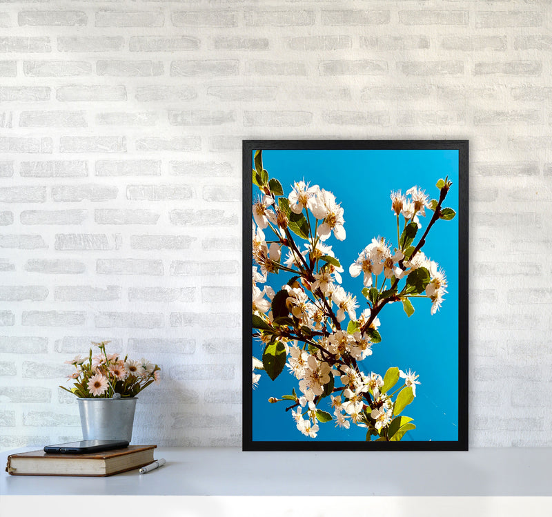 Under Cherry Blossom Art Print by Proper Job Studio A2 White Frame