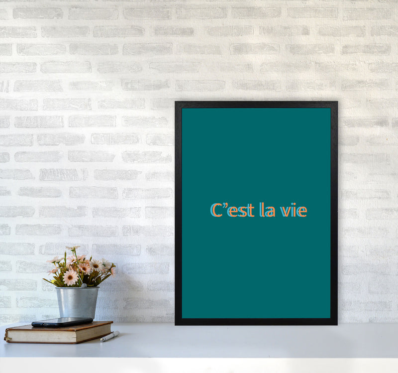 Cest la vie Art Print by Proper Job Studio A2 White Frame