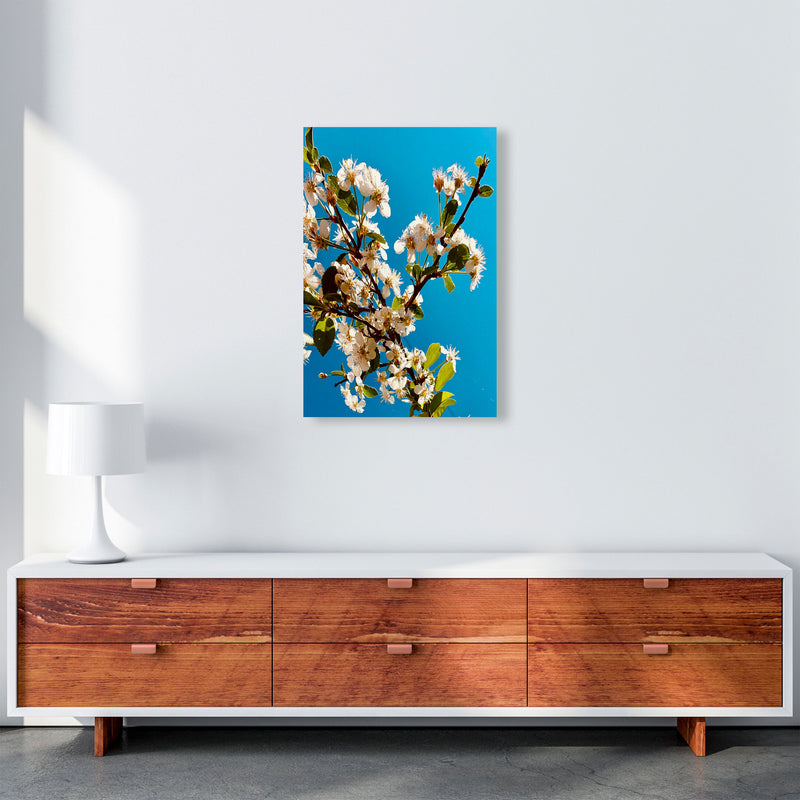 Under Cherry Blossom Art Print by Proper Job Studio A2 Canvas