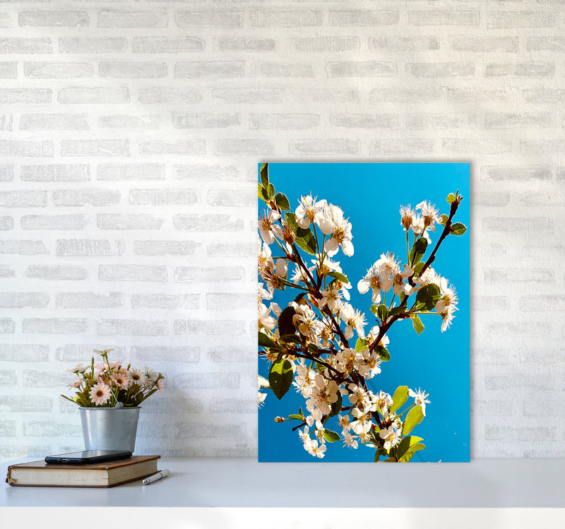 Under Cherry Blossom Art Print by Proper Job Studio A2 Black Frame