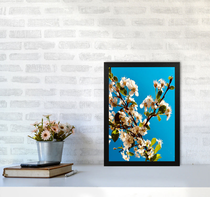 Under Cherry Blossom Art Print by Proper Job Studio A3 White Frame
