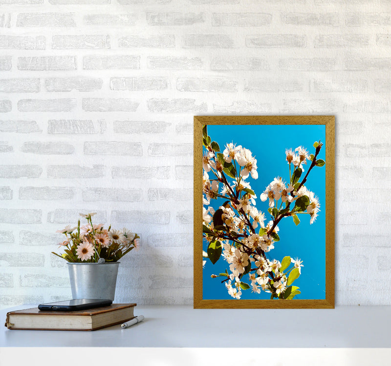 Under Cherry Blossom Art Print by Proper Job Studio A3 Print Only
