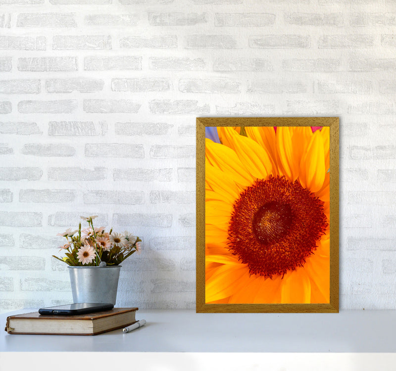 Sunflower Art Print by Proper Job Studio A3 Print Only
