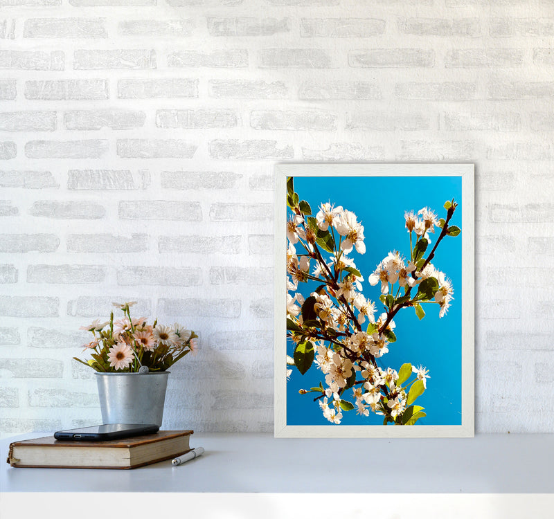Under Cherry Blossom Art Print by Proper Job Studio A3 Oak Frame